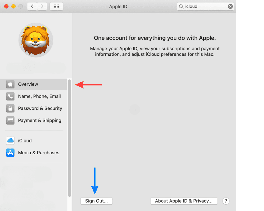 在 Mac 电脑上退出 Apple ID