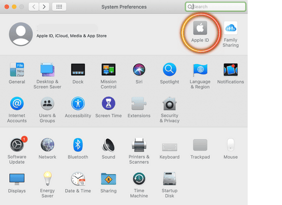 在你的 Mac 电脑的 “系统偏好设置” 中，点击苹果图标