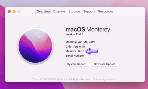 Mac SSD RAM 升级 ：2020 年 MacBook Air M1 关于本机显示内存