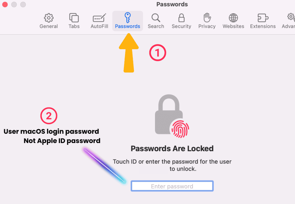  macOS 中 Safari 首选项中的密码选项卡