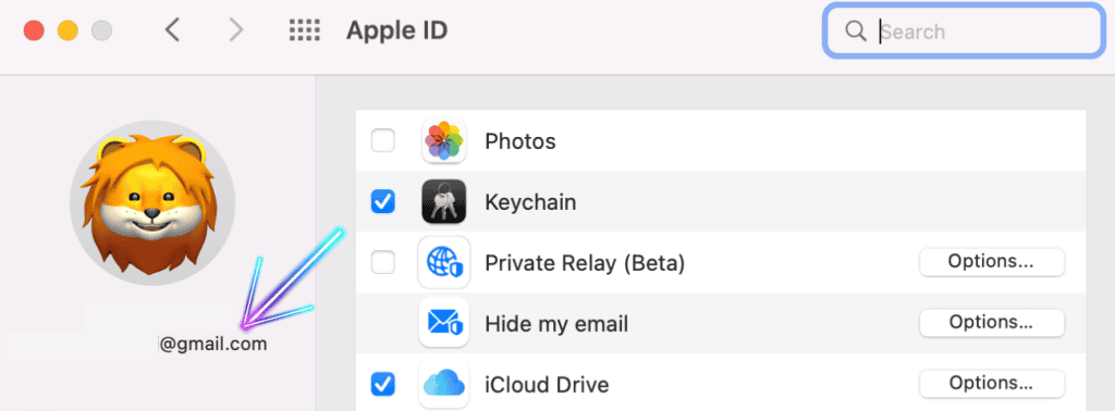 Apple ID on macOS